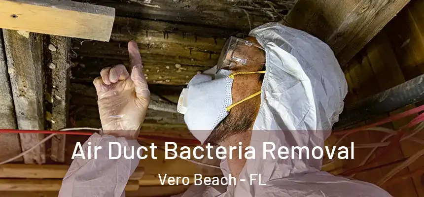  Air Duct Bacteria Removal Vero Beach - FL