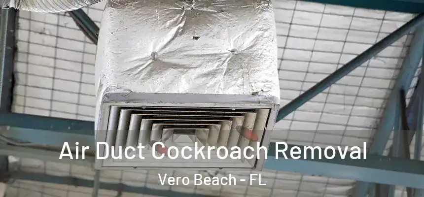  Air Duct Cockroach Removal Vero Beach - FL