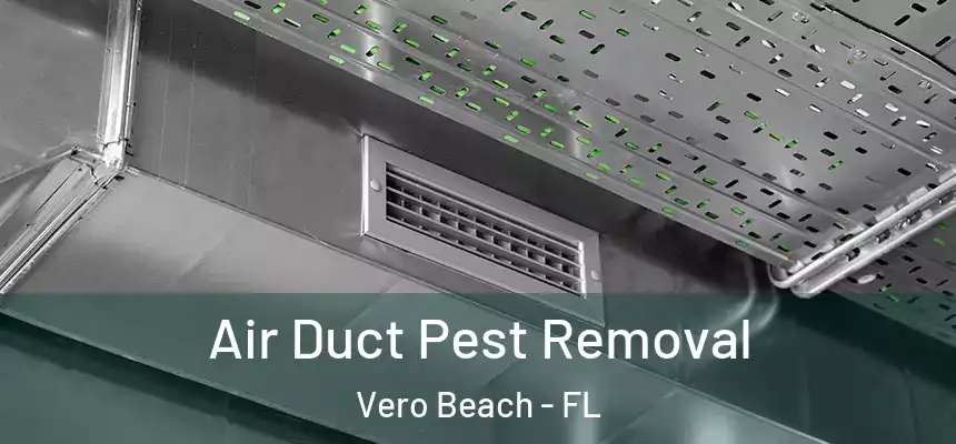 Air Duct Pest Removal Vero Beach - FL