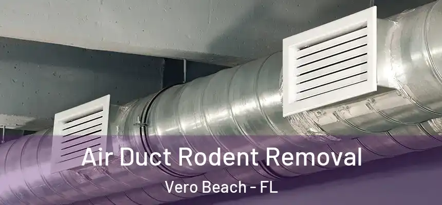 Air Duct Rodent Removal Vero Beach - FL