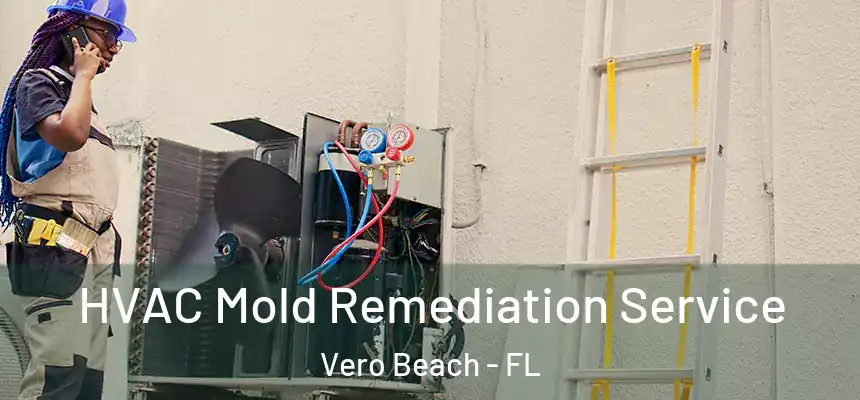  HVAC Mold Remediation Service Vero Beach - FL