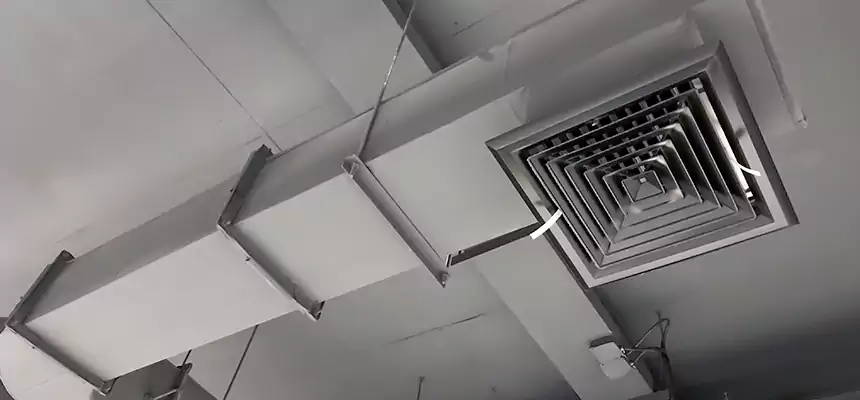 Our Pest Removal From Ducts Services in Vero Beach, FL