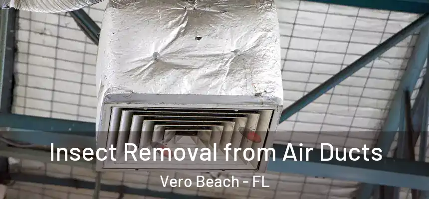  Insect Removal from Air Ducts Vero Beach - FL