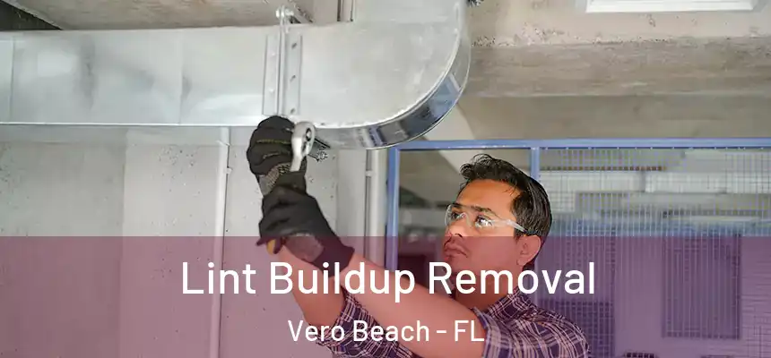  Lint Buildup Removal Vero Beach - FL