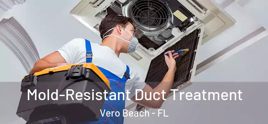 Mold-Resistant Duct Treatment Vero Beach - FL