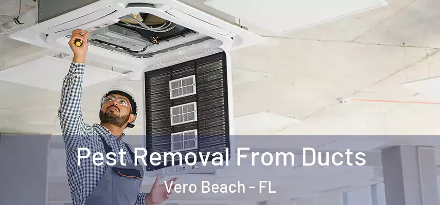 Pest Removal From Ducts Vero Beach - FL