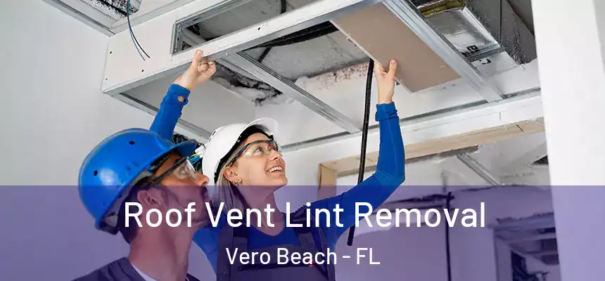 Roof Vent Lint Removal Vero Beach - FL