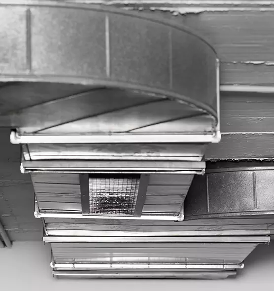 Professional Air Duct Pet Hair Removal in Vero Beach, FL