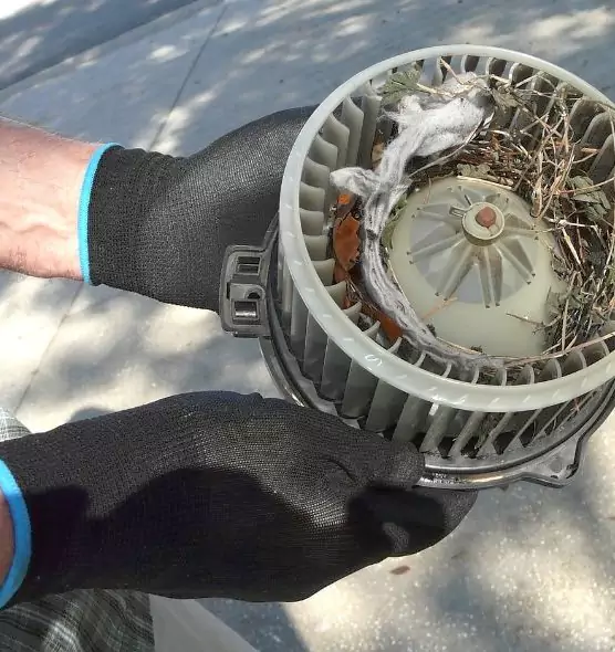 About Air Duct Rat Removal in Vero Beach, FL