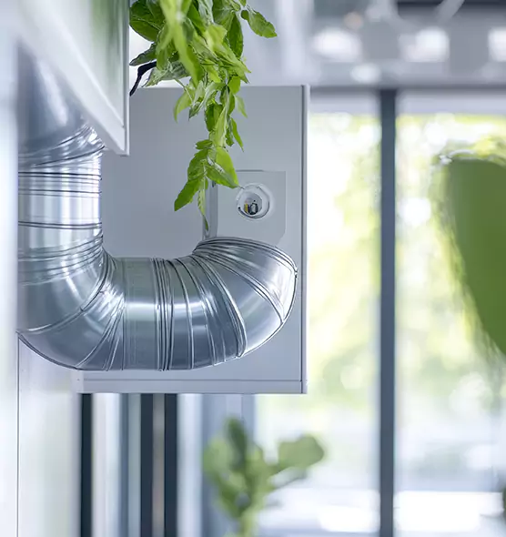 Professional Eco-Safe Dryer Vent Cleaning in Vero Beach, FL