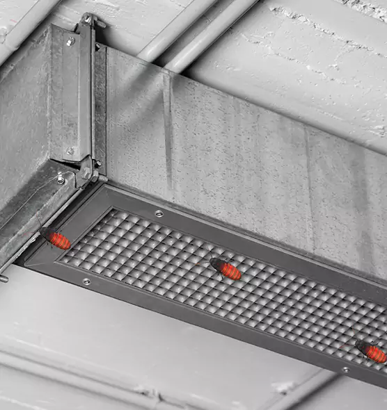 Affordable Insect Removal from Air Ducts in Vero Beach, FL