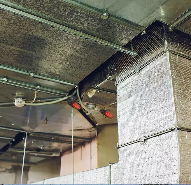 Why Homeowners & Businesses Trust Us in Vero Beach, FL?