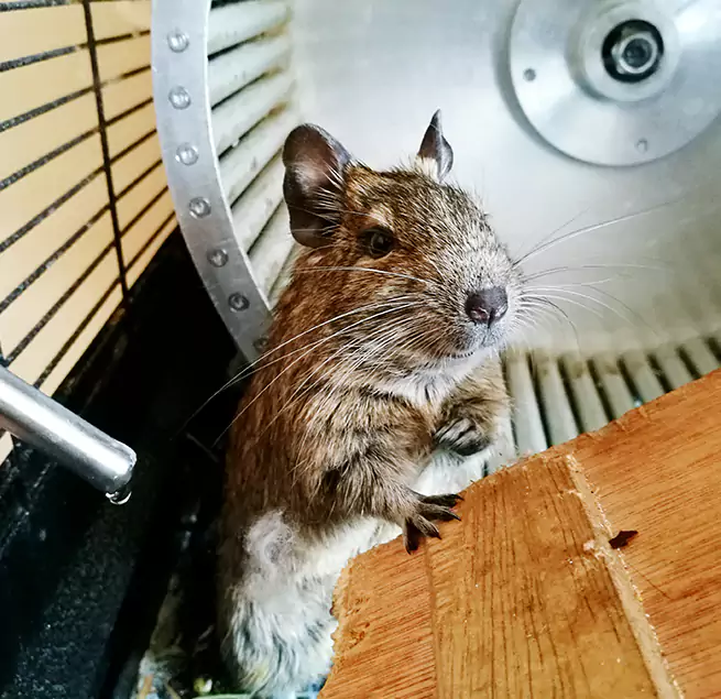 Why Homeowners & Businesses Trust Us Vero Beach, FL