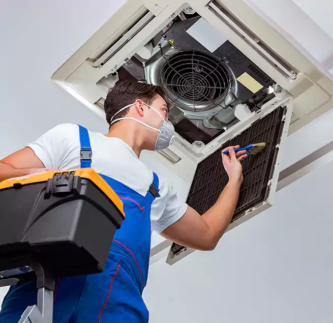 Why Homeowners & Businesses Trust Us in Vero Beach, FL?