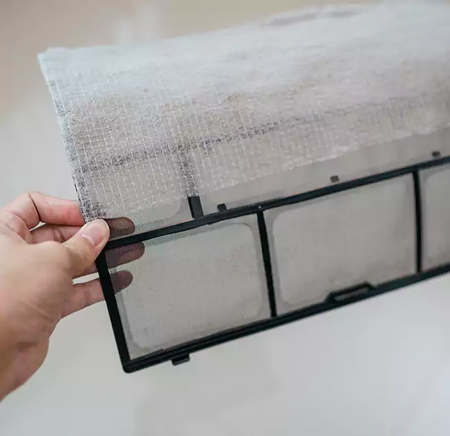 Why Homeowners & Businesses Trust Us in Vero Beach, FL?