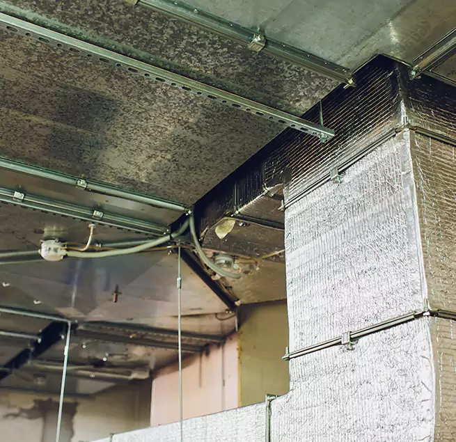 Why Homeowners & Businesses Trust Us in Vero Beach, FL?