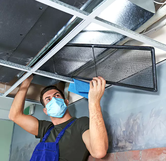 Why Homeowners Businesses Trust Us in Vero Beach, FL?